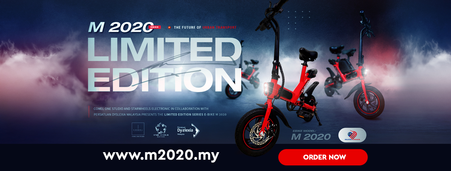 Electric Bike M2020