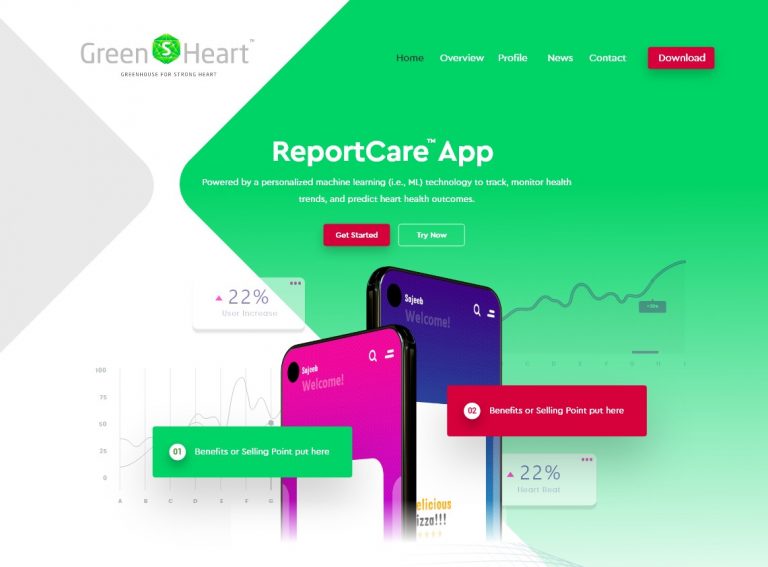 FIDO - Malaysia Freelance Web Designer